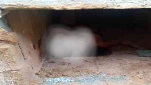 Mulher foi enterrada viva e ficou 10h no túmulo - Imagem: reprodução Twitter