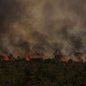 Estado enfrenta alta de focos de incêndio, impactando áreas florestais e agrícolas - Imagem: Reprodução / Marcelo Camargo / Agência Brasil