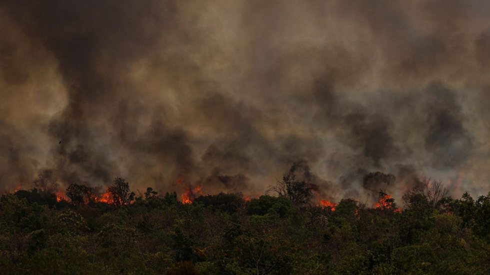 Estado enfrenta alta de focos de incêndio, impactando áreas florestais e agrícolas - Imagem: Reprodução / Marcelo Camargo / Agência Brasil