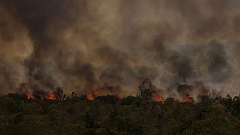 Estado enfrenta alta de focos de incêndio, impactando áreas florestais e agrícolas - Imagem: Reprodução / Marcelo Camargo / Agência Brasil