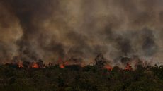 Estado enfrenta alta de focos de incêndio, impactando áreas florestais e agrícolas - Imagem: Reprodução / Marcelo Camargo / Agência Brasil