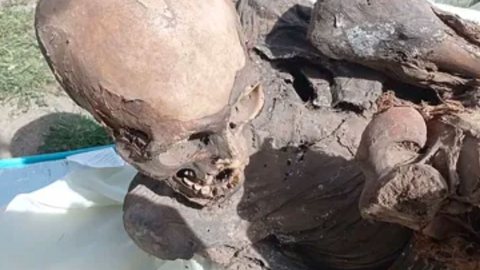 Homem é encontrado com múmia de 600 anos e explicação é bizarra: "Namorada" - Imagem: reprodução Ministério da Cultura do Peru