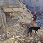Especialistas alertam que o número de vítimas pode ser maior do que o inicialmente confirmado, à medida que os danos são avaliados após os terremotos - Imagem: Reprodução/@Defensagob