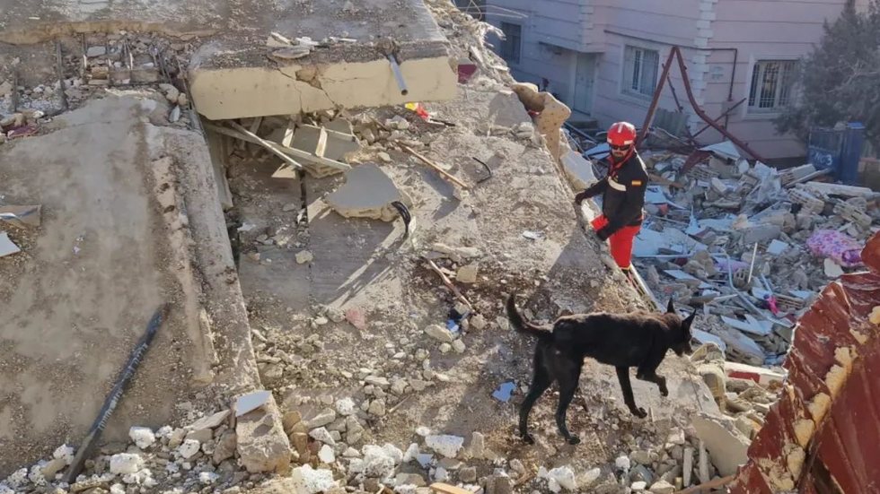 Número de mortos em terremotos na Venezuela sobe para 164 e mobiliza ajuda internacional