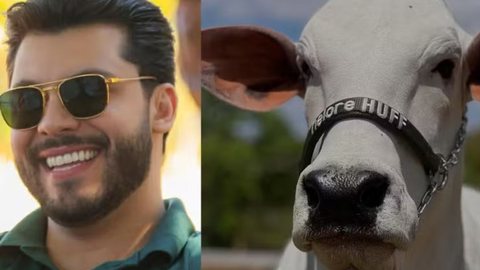 A compra da vaca, reconhecida mundialmente, representa um investimento estratégico para o cantor e sua empresa Nelore Huff - Imagem: Reprodução/O Globo