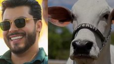 A compra da vaca, reconhecida mundialmente, representa um investimento estratégico para o cantor e sua empresa Nelore Huff - Imagem: Reprodução/O Globo