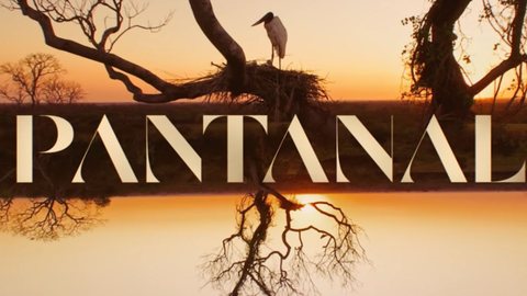 Famosa atriz de 'Pantanal' entra para plataforma de conteúdo adulto. - Imagem: reprodução I Youtube TV Globo