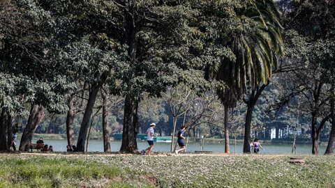 Paulistanos durante período de lazer no Parque do Ibirapuera - Imagem: Reprodução / Agência Brasil / Paulo Pinto