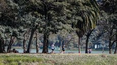 Paulistanos durante período de lazer no Parque do Ibirapuera - Imagem: Reprodução / Agência Brasil / Paulo Pinto