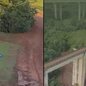 Defesas contestam indiciamentos e argumentam que o caso deve ser tratado como crime culposo, sem intenção de matar - Imagem: Reprodução/TV Globo
