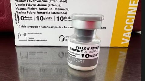Sintomas da febre amarela incluem febre alta, dores no corpo e náuseas; transmissão ocorre por mosquitos infectados - Imagem: Divulgação