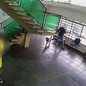 O incidente destaca a fragilidade da relação entre serviços de emergência e a comunidade em situações de tragédia envolvendo animais - Imagem: Reprodução