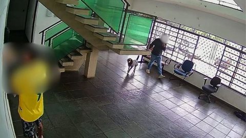O incidente destaca a fragilidade da relação entre serviços de emergência e a comunidade em situações de tragédia envolvendo animais - Imagem: Reprodução