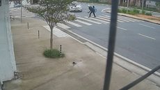 O caso será investigado pela polícia, e o motorista não apresentava sinais de embriaguez no momento do acidente - Imagem: Reprodução