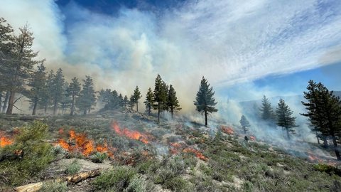 Oito municípios paulistas enfrentam ondas de incêndios - Imagem: Reprodução/Fotos Públicas