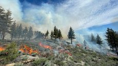 Oito municípios paulistas enfrentam ondas de incêndios - Imagem: Reprodução/Fotos Públicas