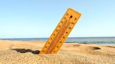 Alguns estados têm previsões acima dos 40° C - Imagem: Reprodução / Freepik