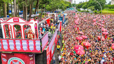 Carnaval de rua de SP terá esquema de segurança reforçado - Imagem: Divulgação | Prefeitura de São Paulo