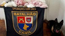 Durante a ação no bairro Glicério, os policiais apreenderam cocaína, crack, maconha, dinheiro e munições - Imagem: Divulgação | PMSP