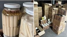 Criminosos criaram empresas de fachada para disfarçar a venda de palmito juçara, colocando a saúde pública em risco - Imagem: Reprodução  / g1