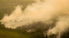 Pantanal e Cerrado batem recorde de focos de incêndio - Imagem: Reprodução / Joédson Alves / Agência Brasil