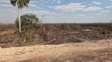 O bioma já superou o recorde de queimadas - Imagem: Reprodução / TV Globo