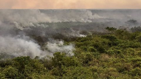 A área alagada sofreu uma redução de 38% de 2018 até 2022 - Imagem: Reprodução / Marcelo Camargo / Agência Brasil