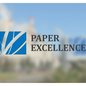 Paper Excellence - Imagem: Divulgação