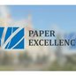 Paper Excellence - Imagem: Divulgação