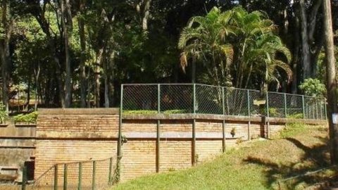 Mulher é encontrada morta com dois tiros na cabeça em parque municipal - Imagem: reprodução / Prefeitura de Belo Horizonte