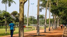 A concessionária poderá receber até R$ 23,7 milhões anuais, dependendo do cumprimento de metas, visando a melhoria da experiência dos usuários - Imagem: Divulgação/Governo de SP