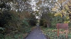 A tragédia aconteceu na Reserva Natural Low Hall, em Londres - Imagem: reprodução/Google Street View