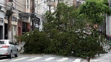 Previsão é de reabertura dos parques na quinta-feira, dependendo da redução dos ventos e avaliações das equipes de emergência - Imagem: Reprodução/Agência Brasil