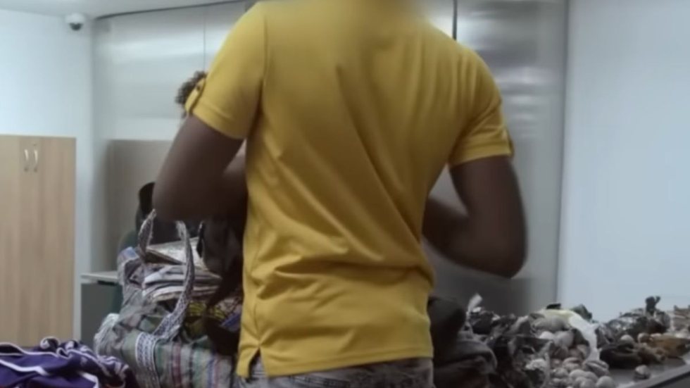Um passageiro foi barrado no aeroporto de Garulhos (SP), após carregar em sua mala pedaços secos de corpos de animais. - Imagem: reprodução I Youtube Discovery Brasil