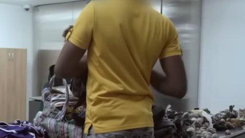Um passageiro foi barrado no aeroporto de Garulhos (SP), após carregar em sua mala pedaços secos de corpos de animais. - Imagem: reprodução I Youtube Discovery Brasil
