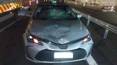 Pedestre fica em estado grave após atropelamento na Raposo Tavares - Imagem: Divulgação / Artesp