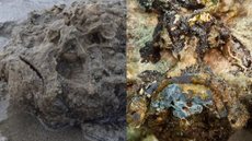 O peixe-pedra se camufla entre areias e rochas - Imagem: reprodução / divulgação UOL