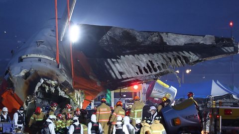 Penas são encontradas em avião que matou 179 pessoas na Coreia do Sul - Imagem: Reprodução / X / @revistakoreain