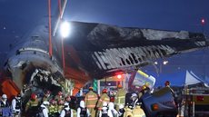 Penas são encontradas em avião que matou 179 pessoas na Coreia do Sul - Imagem: Reprodução / X / @revistakoreain
