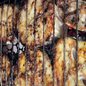 Pintado na Brasa, no Leite de Coco e na Pimenta-de-Cheiro - Imagem: Divulgação/Chef Luiz Borba