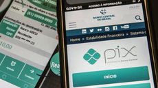 Banco Central divulga que mais de 1,2 milhão de chaves Pix foram marcadas como suspeitas de fraudes no último ano - Imagem: Reprodução / Marcelo Casal Jr. / Agência Brasil