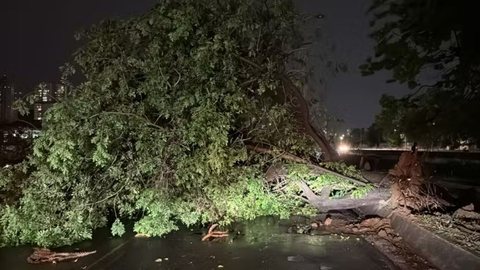 Concessionária não atendeu ao plano de contingência - Imagem: Reprodução / Abraão Cruz