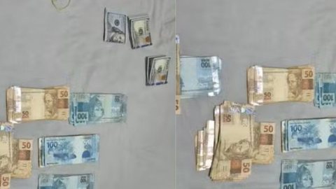Polícia Civil aguarda balanço completo após cumprimento de mandados em várias regiões - Imagem: Reprodução