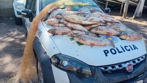 Polícia Ambiental apreende 62 kg de peixes após flagrar pesca ilegal no interior de SP - Imagem: Divulgação / Polícia Ambiental