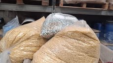Polícia desarticula fábrica clandestina de medicamentos e suplementos - Imagem: Divulgação / Polícia Civil