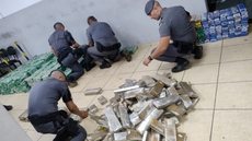 Quase 70% do total de apreensões ocorreu no interior paulista. - Imagem: Reprodução/Agência SP.