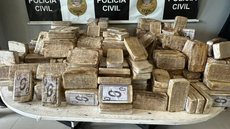 As investigações seguem para identificar outros envolvidos e mapear a rede de distribuição de drogas na região de Santos - Imagem: Divulgação/Polícia Civil