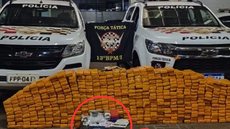 Além da maconha, foram apreendidos cocaína, ecstasy, haxixe e uma arma de fogo na casa do suspeito, que confessou o tráfico - Foto: Secretaria da Segurança Pública de SP
