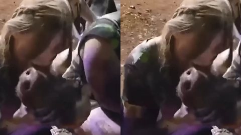Vídeo de alunas interagindo com cabeça de porco gera indignação - Imagem: Reprodução / X