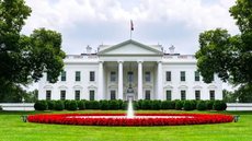 Post polêmico de Elon Musk sobre Trump e Biden gera críticas da Casa Branca - Imagem: reprodução Brasil Escola